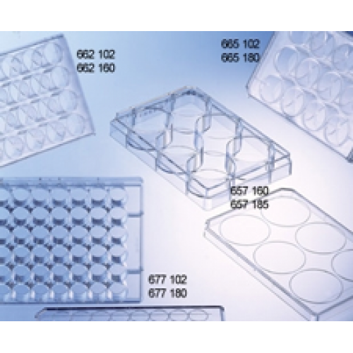 Greiner BioOne CELLSTAR® Cell Culture Multiwell Plates (for Adherent Cell Cultures)